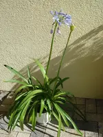 DSC07042.webp