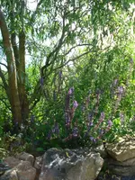 DSC07031.webp
