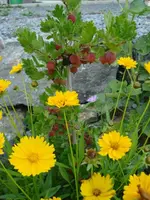 DSC07045.webp