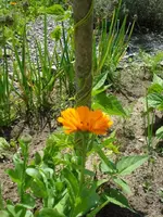 DSC06990.webp