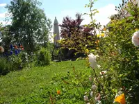 DSC06904.webp