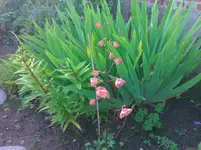 WP_000130.webp