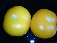 DSC01534.webp