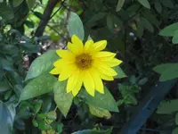 203.webp
