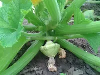 2012-07-17 19.27.36.webp