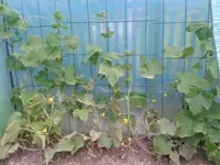 2012-07-17 19.27.50.webp