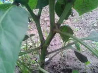 2012-07-17 19.36.56.webp