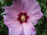011.webp