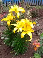 2012-07-18 14.36.45.webp