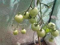 2012-07-18 14.57.13.webp