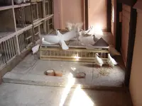 DSC09707.webp