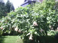 PIC00004.webp