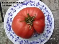 BILD0362.webp