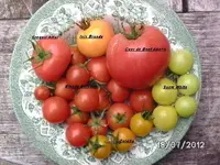 BILD0364.webp