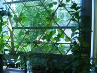 BILD0094.webp