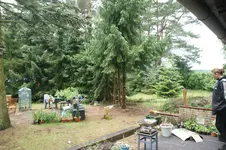 16.06.12-05.webp
