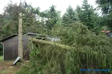 07.07.12-04.webp