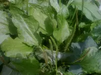 iphoine 085.webp