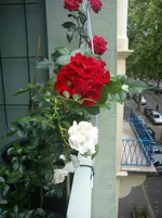 2012.07.19-16.23.13.webp