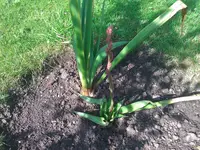 WP_000120.webp