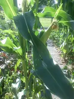 DSC01406.webp