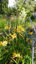 DSCN3297.webp