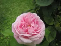 024.webp