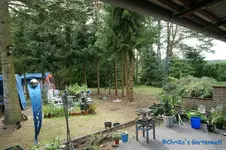 17.06.12-01.webp