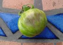 002.webp