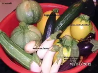 BILD0365.webp