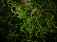 DSCN0022[1].webp