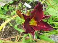IMG_von lotta1_1024x768.webp