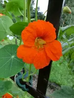 CIMG0809.webp