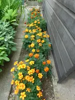 CIMG0792.webp