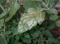 SANY0054_k.webp