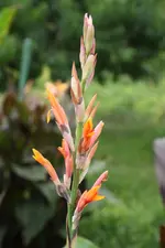 IMG_1704.webp