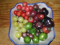 k-BILD1203.webp