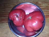 k-BILD1204.webp