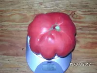 k-BILD1205.webp