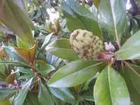 20120720_204213.webp
