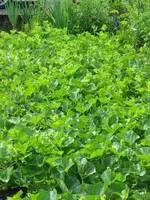 IMG_4601_14_07.webp