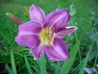 DSCI1563.webp