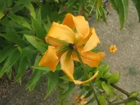 057.webp