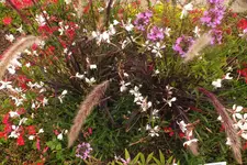 2012_0720Sommer0052.webp