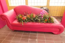 2012_0720Sommer0042.webp