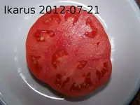 12.07.21-Tomate_Ikarus_Frucht_Schnittbild.webp