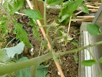 CIMG3189.webp