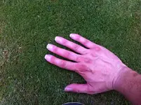 Foto 4.webp