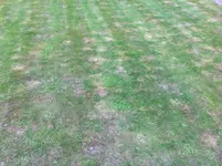 Foto 3.webp