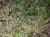 Foto 2.webp
